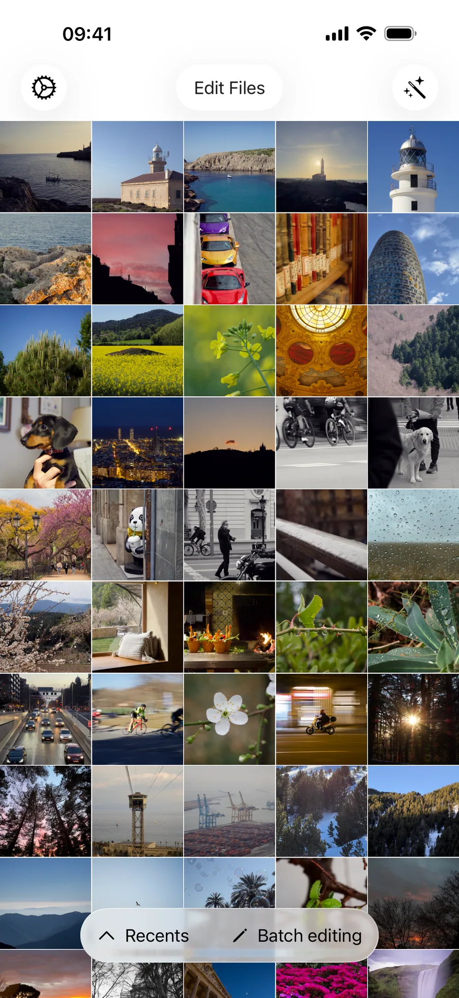 Browse and organise photos for metadata editing from the iPhone photo library