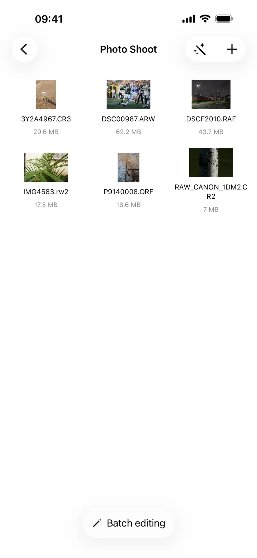 Edit CR3, ARW, RAF, RW2 and ORF RAW photo metadata from Files on an iPhone