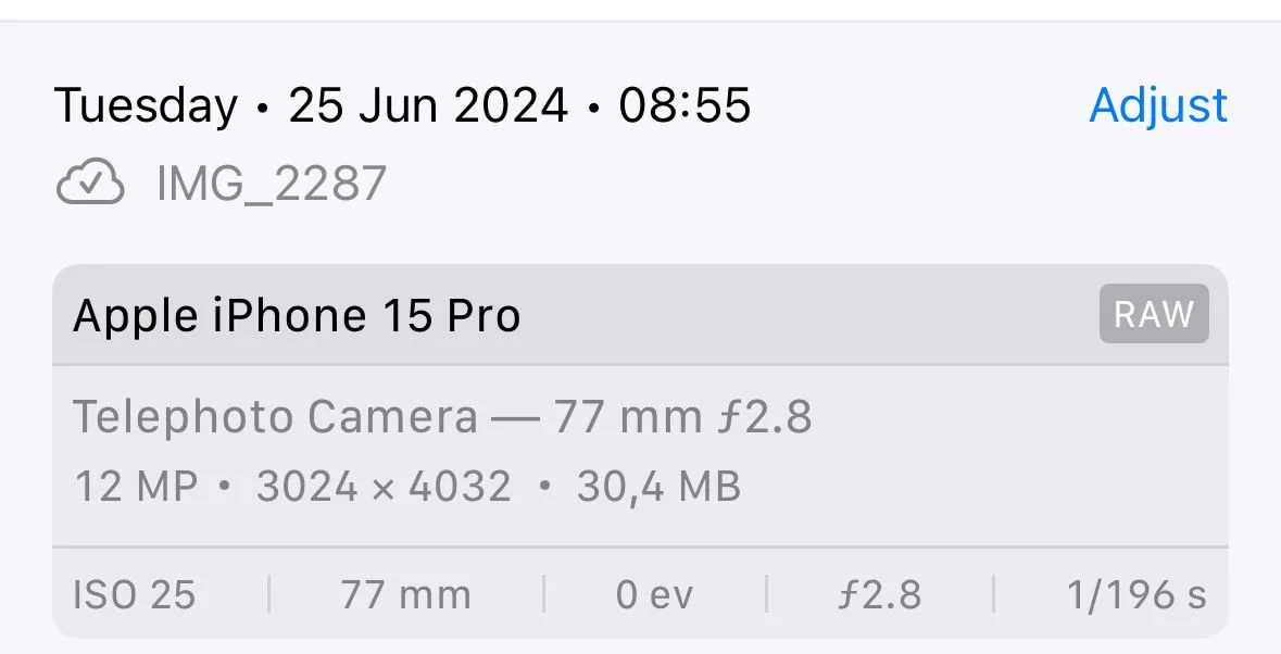 Photos app information panel displaying date, camera and RAW photo metadata